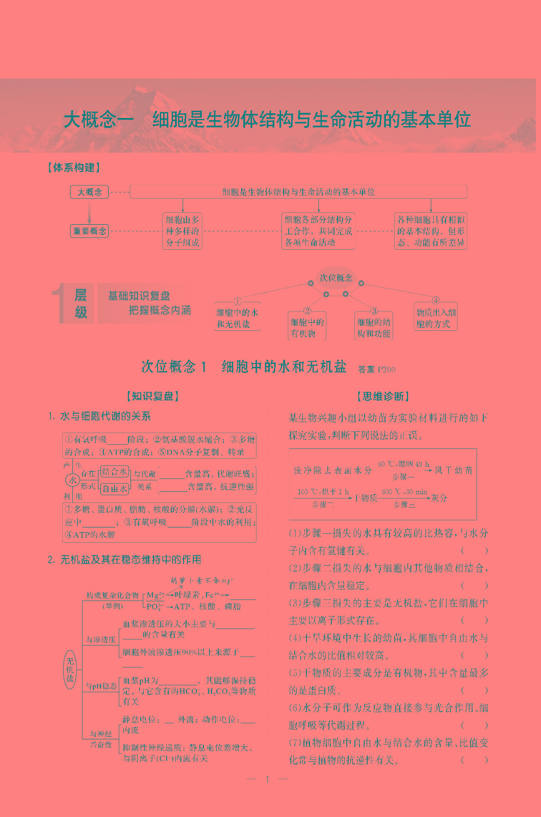 强化版03-1.jpg